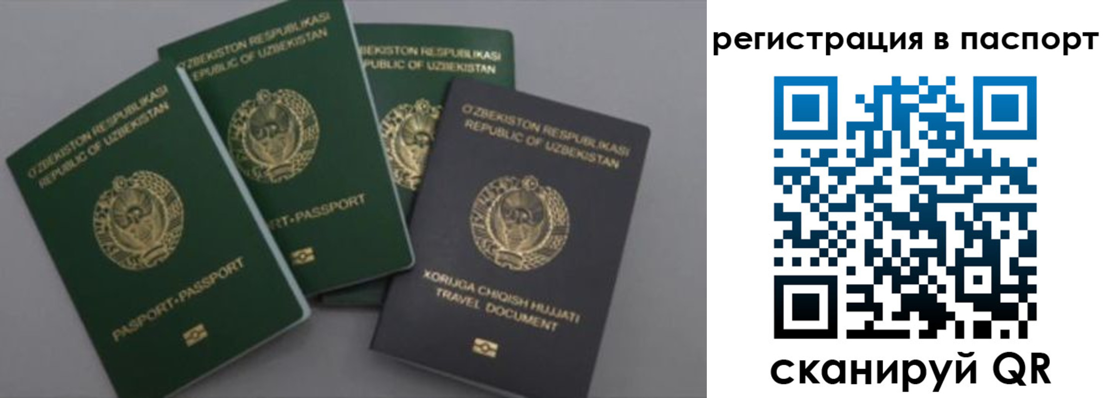 прописка от собственника в Новочеркасске
